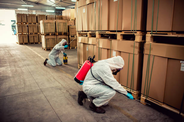 Best Wildlife Control Services  in Gman, IL