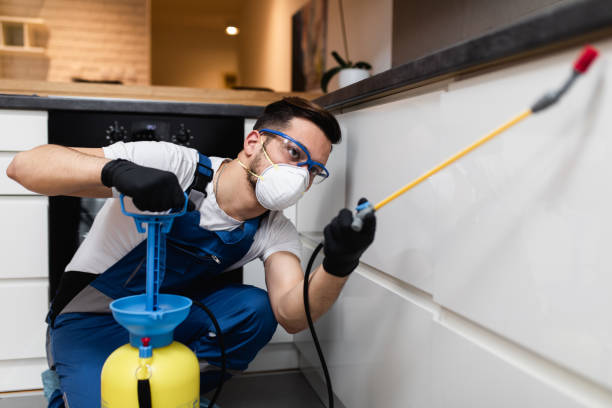 Best Best Pest Control Companies  in Gman, IL