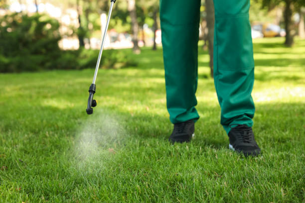Best Bed Bug Extermination  in Gman, IL
