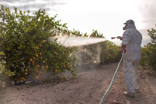 Pest Control Cost in Gilman, IL