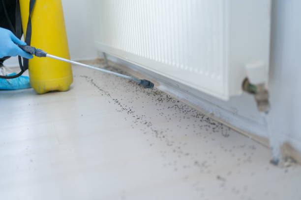 Best Termite Control Services  in Gman, IL