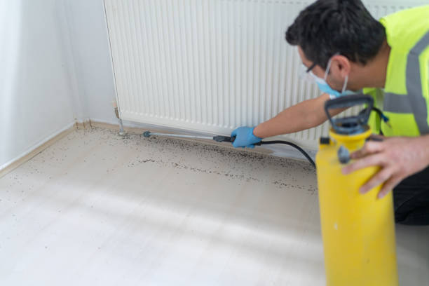 Best Emergency Pest Control  in Gman, IL