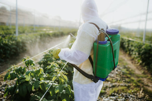 Best Best Pest Control Companies  in Gman, IL